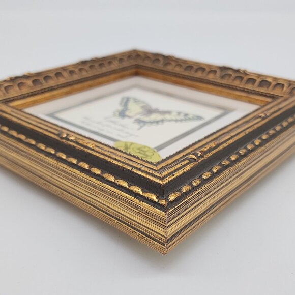 Vintage Hand Painted Embossed Butterfly in Ornate Gold Frame by MPressions - Picture 12 of 13